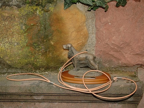 Rundleder Vorführleine 4mm x 160cm mit Wirbel