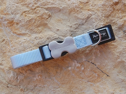 Red Dingo Nylon Halsband 18mm, hellblau