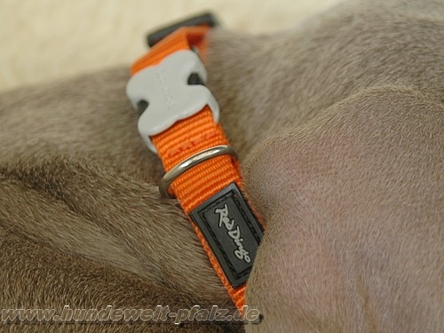 Red Dingo Halsband 12mm, orange