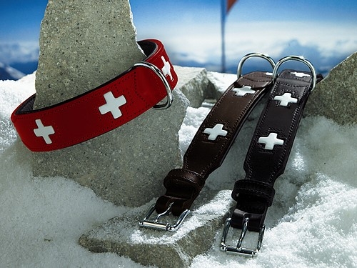 Hunter Lederhalsband Swiss, 42cm