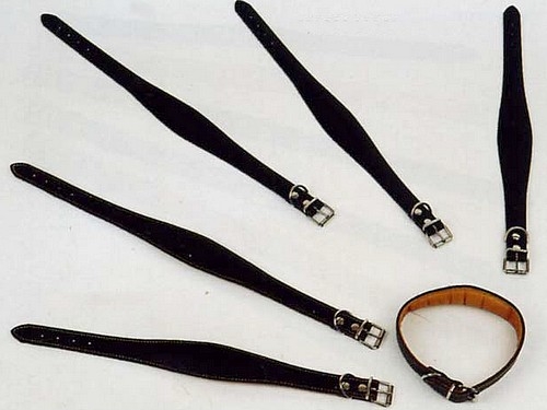 Windhundehalsband, gefüttert, 60cm