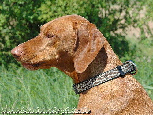 Halsband Dogstyle Soft 25mm, Braun geflammt