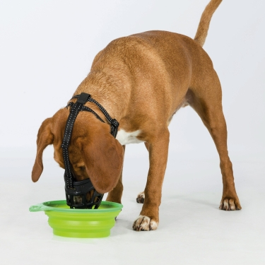 Maulkorb Muzzle Flex, Silikon/Nylon/Neopren