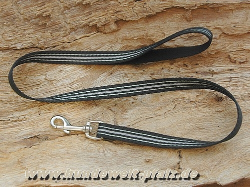 Dogstyle Reflect Führleine 100cm