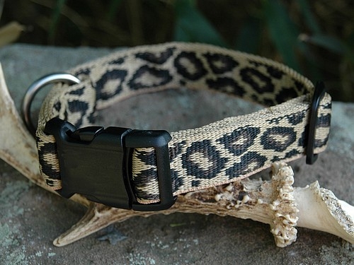 SUCHtrupp Halsband Leo, 30-40cm Halsumfang