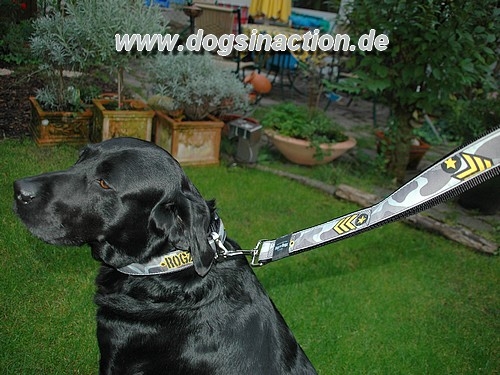 Kurzführer Rogz4Dogs Special Agent XXL