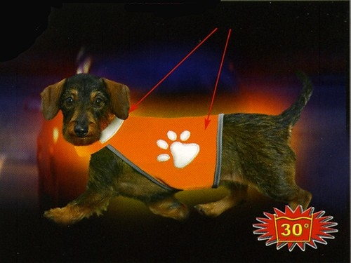 Safety Dog Sicherheitsweste, Gr.S, Signalorange