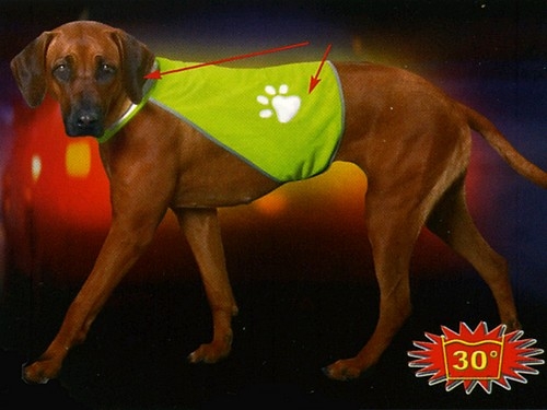 Safety Dog Sicherheitsweste, Gr.S, Signalgelb