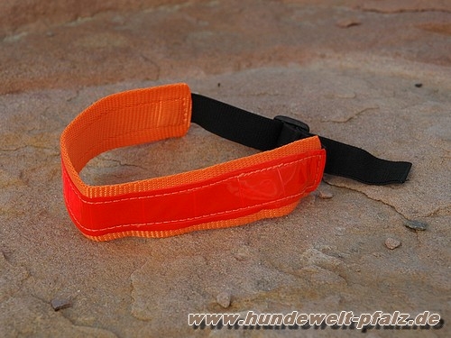 Reflektierendes Sicherheits-Halsband, Gr.1