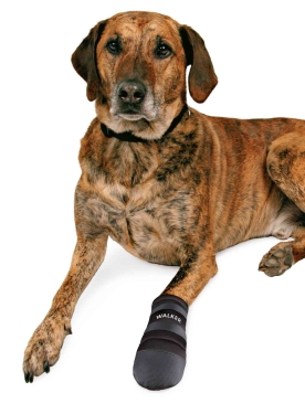 Walker Schutzstiefel Pro Care, Größe "XL"