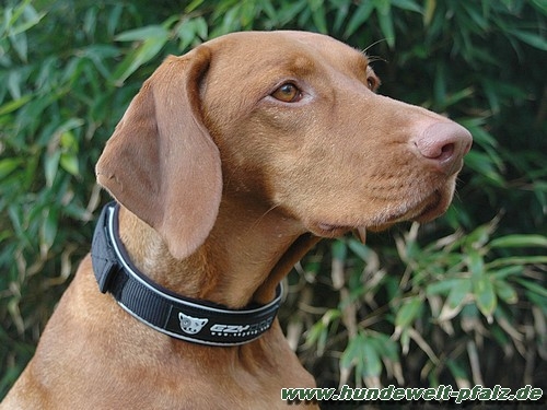 Ezydog Halsband, Größe M, Schwarz