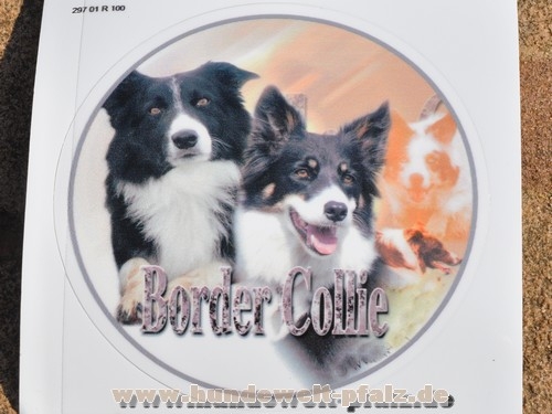 .Design-Aufkleber Border Collie, 10cm