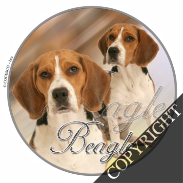 .Design-Aufkleber Beagle, 10cm