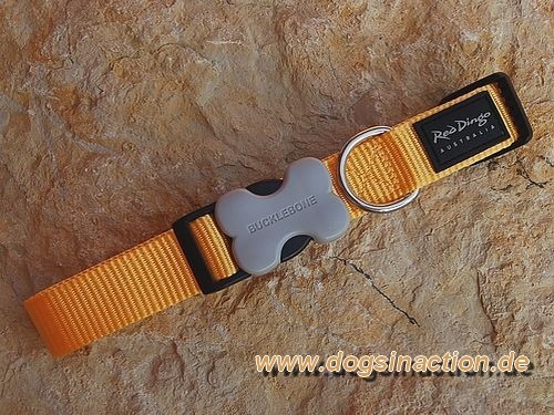 Red Dingo Nylon Halsband 25mm, versch. Farben