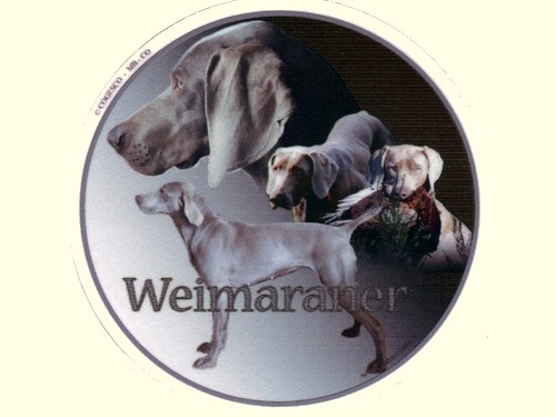 .Design-Aufkleber Weimaraner, 10cm