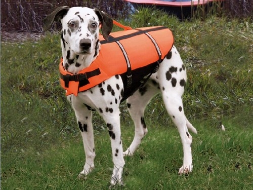 Hundeschwimmweste, Gr.M, Signalorange