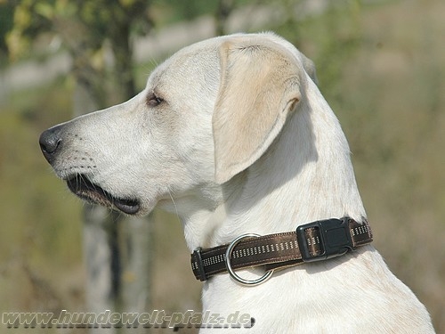 Halsband Soft-Grip, 25mm, Braun