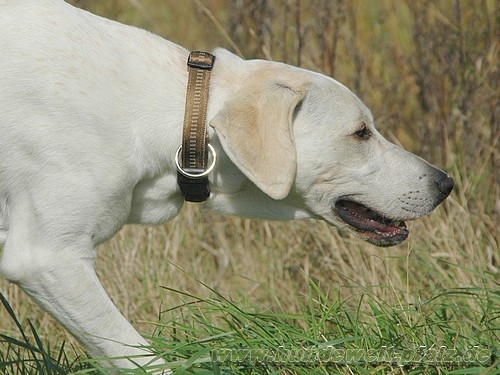 Halsband Soft-Grip, 25mm, Braun