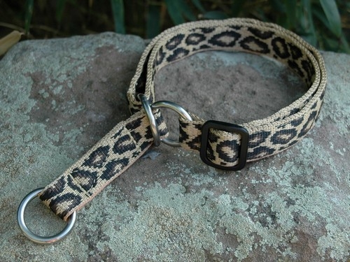 SUCHtrupp Halsband Leo mit Zugstop, 40-70cm