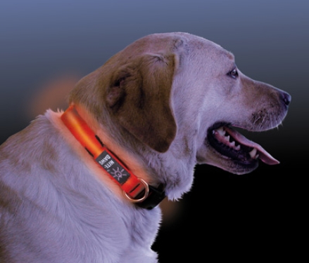 Nite Ize LED Hundehalsband Größe 3, Orange