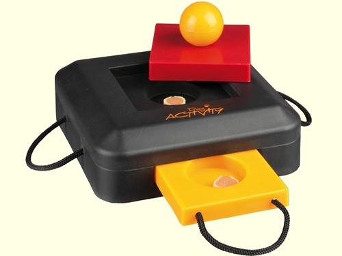 Dog Activity Brettspiel Gamble Box