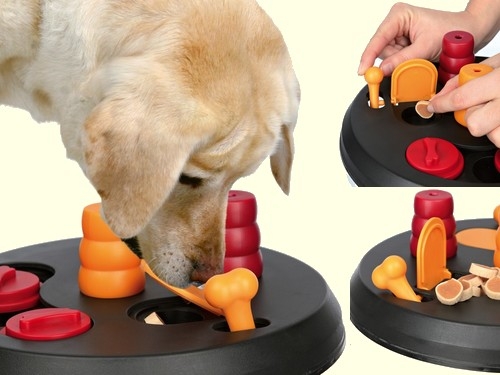 Dog Activity Brettspiel Flip Board