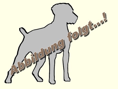 Hunter Halsband Vario Plus, Gr. XS, Rot