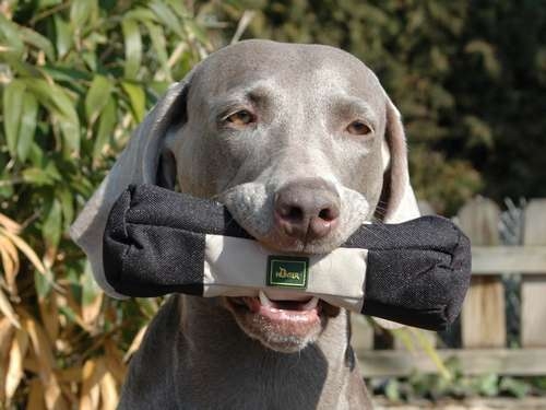 Hunter Trainer Snack Dummy 20cm