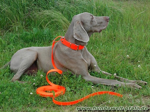 HWP Biothane Beta Schweißriemen, 19mm