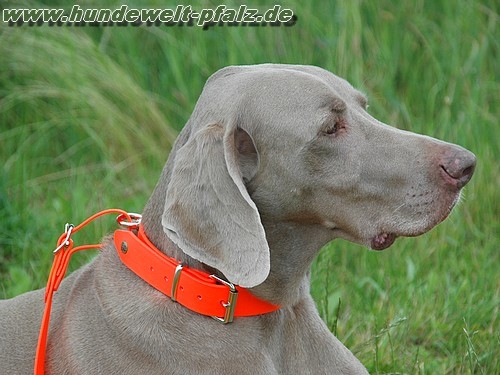 HWP Biothane Beta Schweißriemen, 19mm