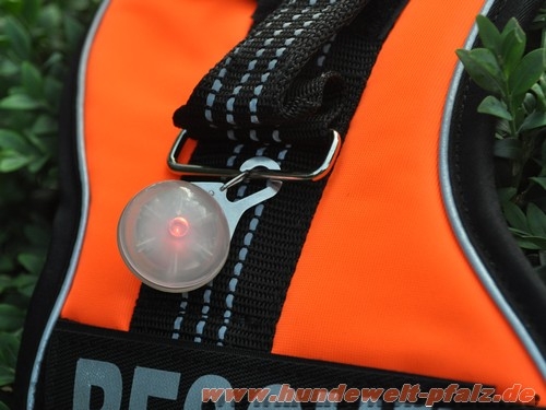 Karabiner-LED für Geschirr und Halsband (Wechsellicht)