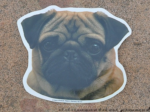 Aufkleber Mops