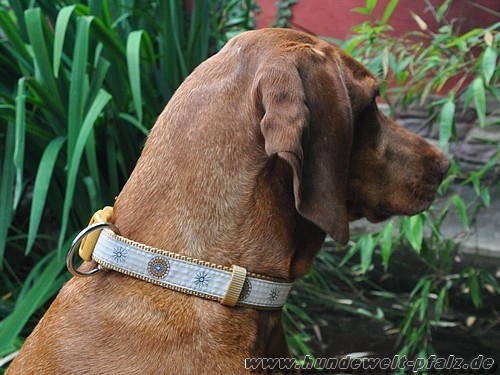 Halsband Luna, 25mm x 40-65cm mit Zugentlastung