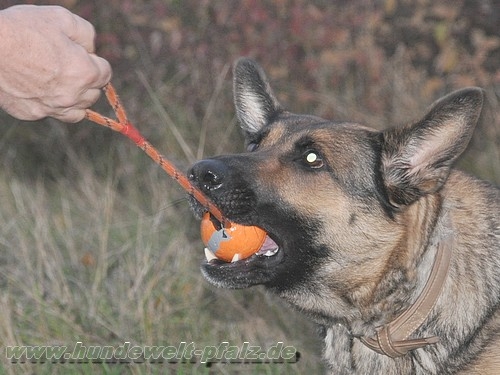 Trainings-Spielball am Seil, ø 6cm / 30cm, Orange