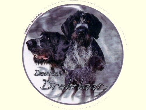 .Design-Aufkleber Deutsch Drahthaar, 10cm