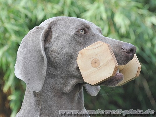 Obedience Holzapportel Gr.1, 150gr., 12cm