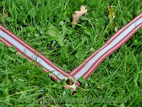 Boxenband für Obedience Granat, 3,16m x 3,16m