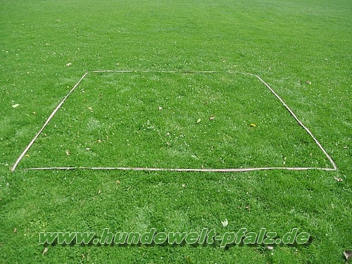 Boxenband für Obedience Granat, 3,16m x 3,16m