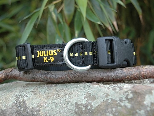 Julius K-9 Halsband 1,4cm schwarz/gelb