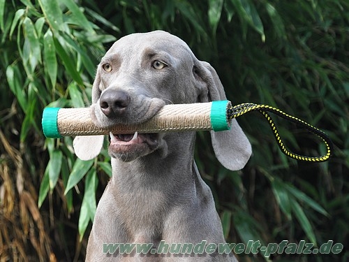 Jute-Beißwurst, 27mm x 25cm mit Schlaufe aus Tau