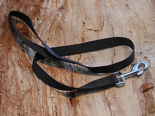 Führleine Basic 25mm x 100cm