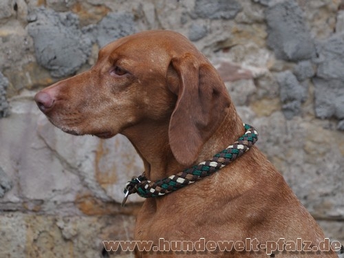 G2 Tauwerk Halsband Basic, rund geflochten, mit Zugstop, Nature