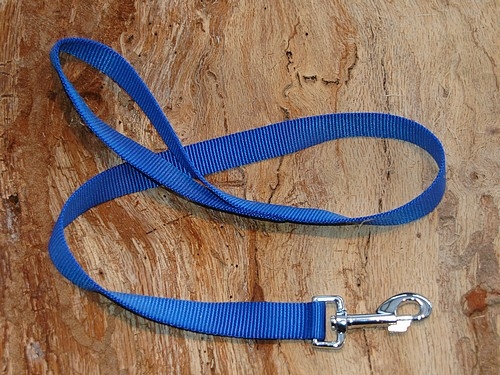 Führleine Basic 15mm x 100cm