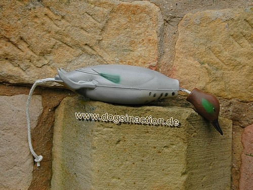 Dokken Deadfowl Trainer Taube