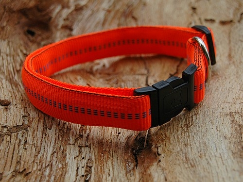 Koch Comfort Halsband, Gr.3, 25mm x 40-65cm, versch. Farben!!!