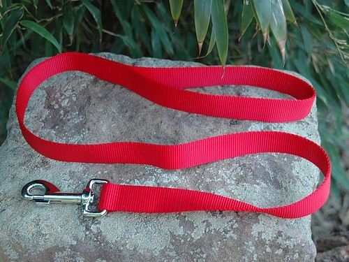 Führleine Basic 10mm x 100cm