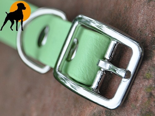 Biothane BETA Halsband 27cm x 19mm, Mintgrün