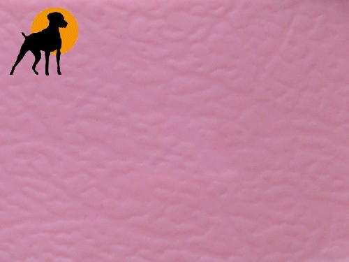 Biothane BETA Halsband 40cm x 19mm, Rosa