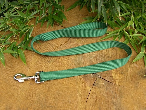 Führleine Basic 20mm x 100cm