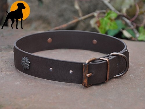Biothane Designhalsband Edelweiß, 60cm, Dunkelbraun/Antik
